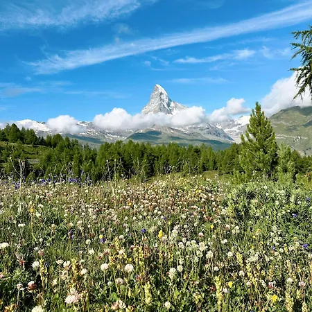 Achat By Premium Zermatt