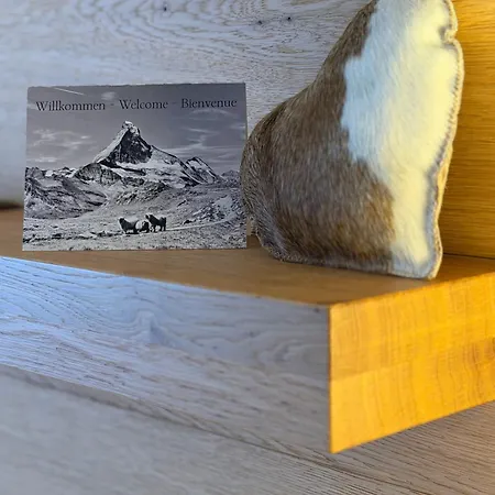 公寓 Achat 采尔马特