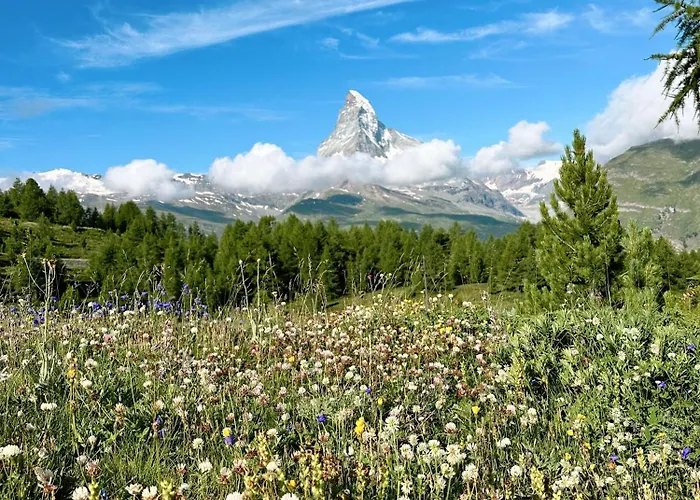 Achat By Premium Zermatt